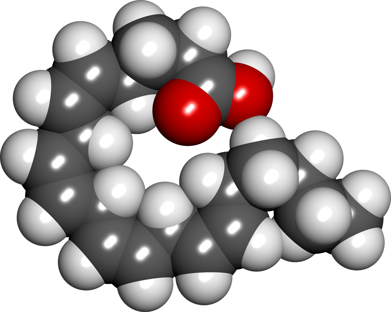 Формула арахидоновой кислоты. Арахидоновая кислота формула. Арахидоновая кислота молекула. Арахидоновая кислота структурная формула. Арахиновая кислота арахидоновая кислота.