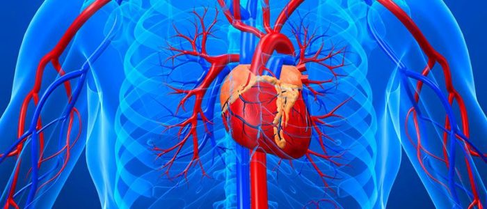 Атеросклероз аорты и аортальных клапанов сердца thumbnail