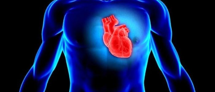 Лечение склероза аорты сердца народными средствами thumbnail
