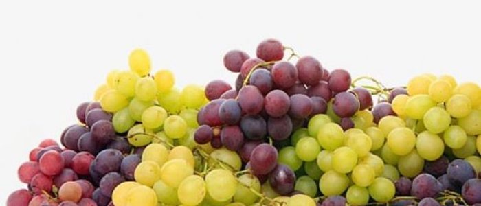 Красный виноград при атеросклерозе thumbnail