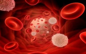 Анализ крови на холестерин и сахар как правильно сдать анализ thumbnail